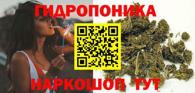 гидропоника Братск