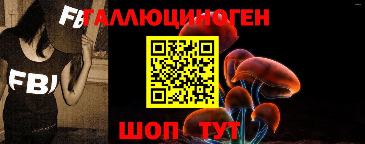 Галлюциногенные грибы Psilocybe Железногорск